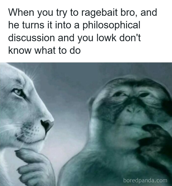 Meme showing a lion and monkey deep in thought, representing posts that hit different at 3AM with unhinged memes.