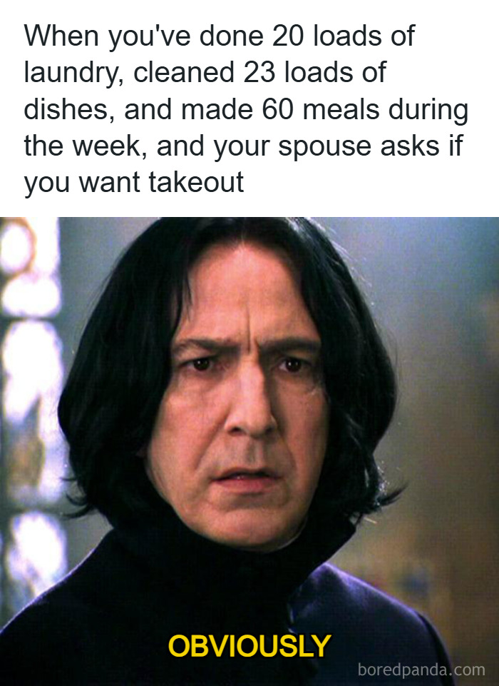 Severus Snape meme expressing exhaustion from parenting chores with relatable parenting memes keyword.
