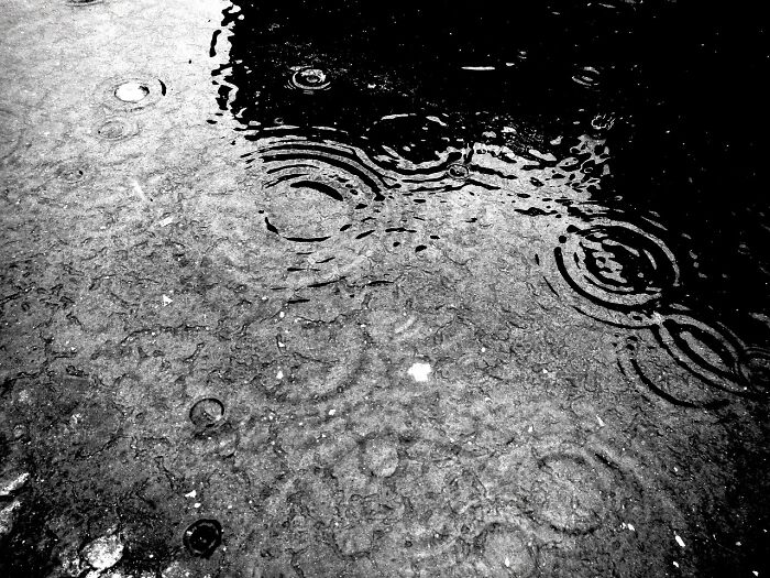 Raindrops creating ripples on a wet surface, illustrating incredible weather records and powerful natural phenomena.