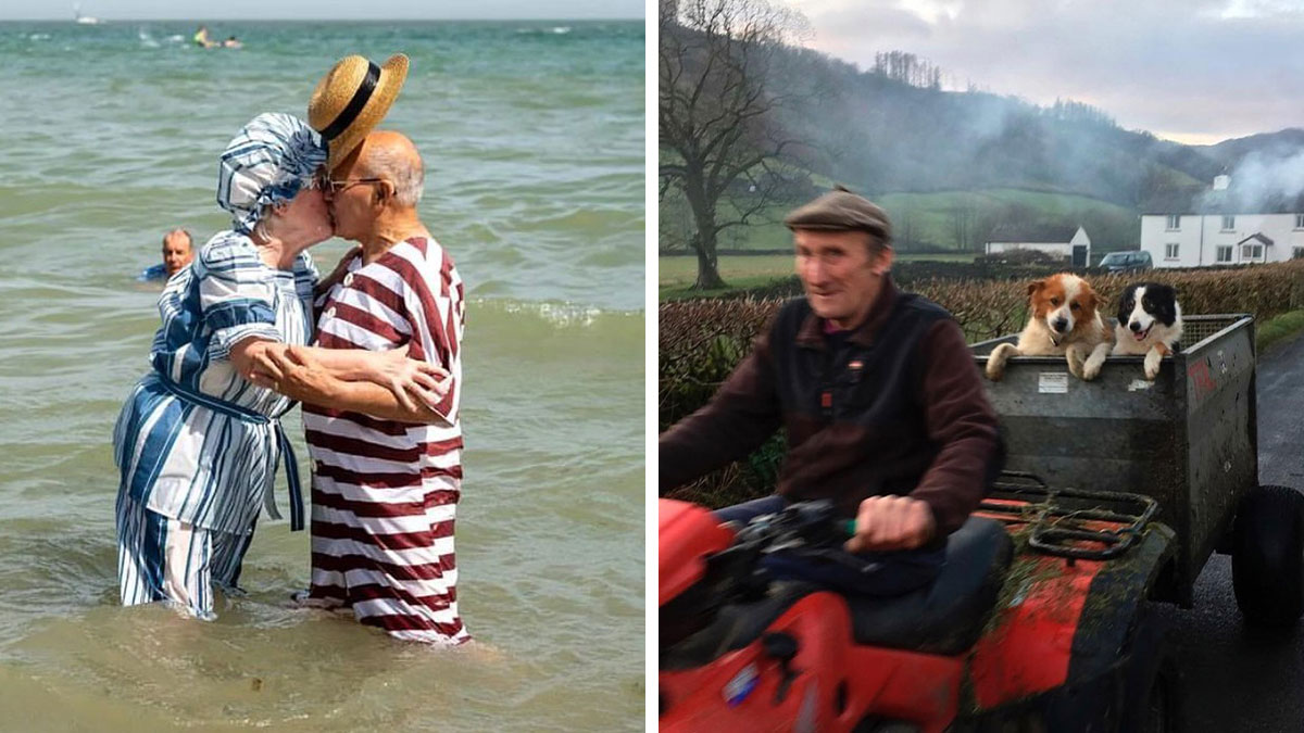 Elderly couple sharing a kiss in the sea and an older man driving a tractor with two dogs, showing beauty and wisdom of old age.