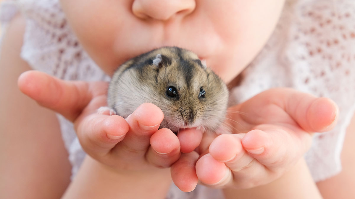 Child holding a small hamster close to their mouth, reflecting childhood moments that make people cringe today.