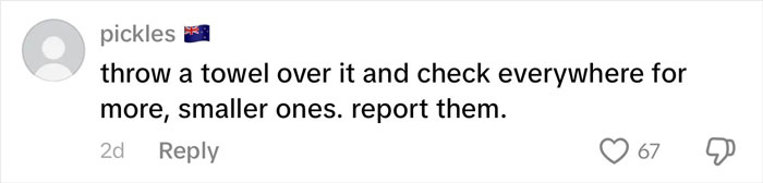 Comment advising to throw a towel over something and check for smaller ones, related to family rushing out of rental house after disturbing discovery. Comment advising to throw a towel over something and check for smaller ones, related to family rushing out of rental house after disturbing discovery.