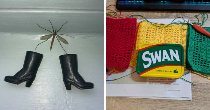 Strangest thing saved showing a large insect with tiny boots and a colorful sewing project with a Swan tin on a wooden table.