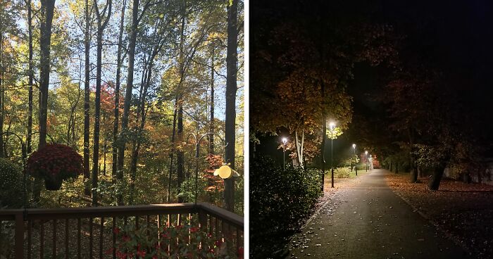 Day and night autumn scenes showing colorful fall foliage and a quiet path illuminated by street lamps.