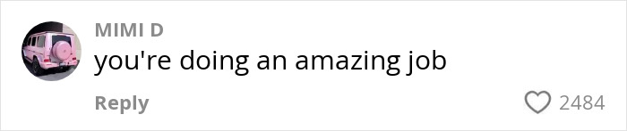 Comment on social media reading you're doing an amazing job with a pink jeep profile picture and 2484 likes. Comment on social media reading you're doing an amazing job with a pink jeep profile picture and 2484 likes.