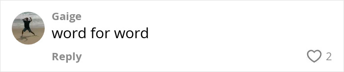 Comment on social media post by user Gaige saying word for word with two likes, related to first grade teacher and viral private parts song debate. Comment on social media post by user Gaige saying word for word with two likes, related to first grade teacher and viral private parts song debate.