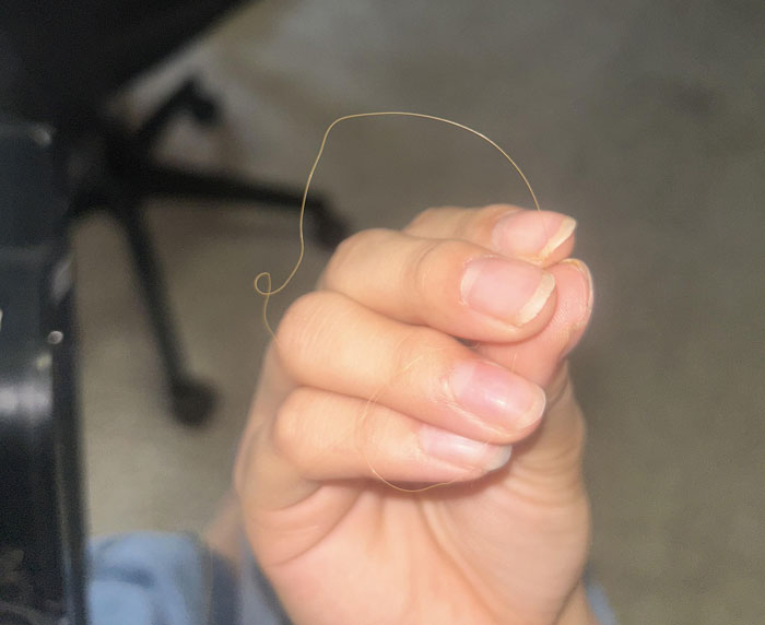 Hand holding a strand of hair found while cleaning, hinting at serial cheater caught red-handed evidence. Hand holding a strand of hair found while cleaning, hinting at serial cheater caught red-handed evidence.