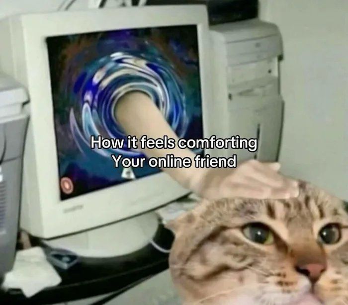 A hand reaching through a computer screen to pet a cat, depicting comforting online friend cat memes.