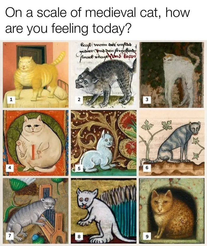 Medieval cat illustrations showing humorous and quirky cat memes for cat lovers and feline meme fans.