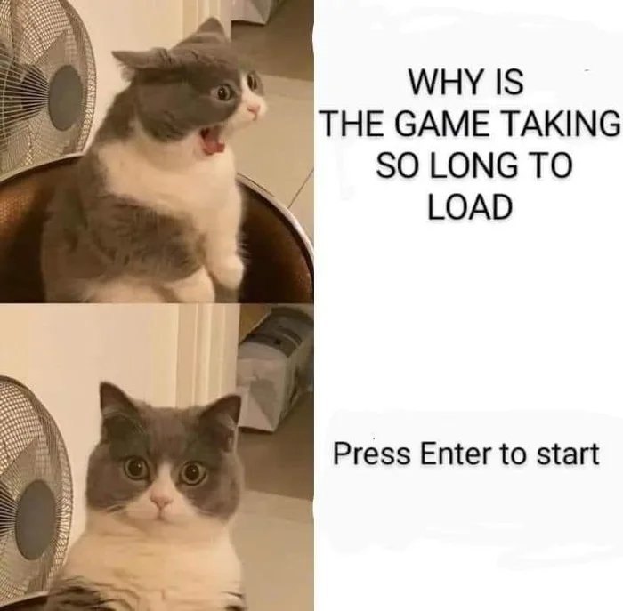 Surprised cat meme reacting to slow game loading with a humorous caption about pressing Enter to start.