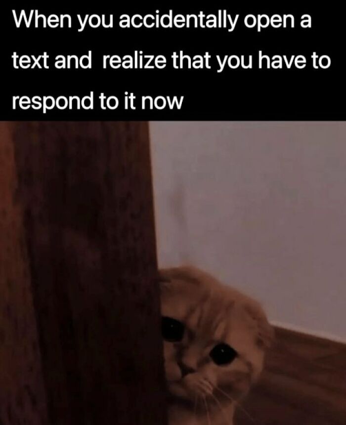 Cat meme showing a cat peeking nervously from behind a door with text about accidentally opening a text message.