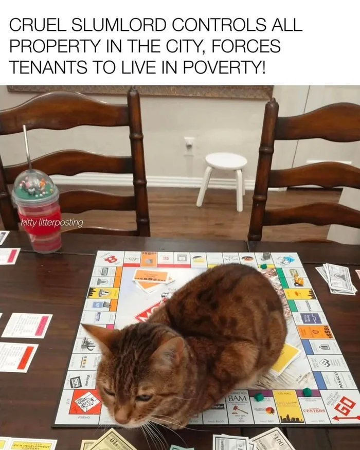 Cat sitting on a Monopoly board during a game, illustrating humor in cat memes with playful feline antics.