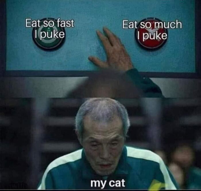 Man in a green jacket with buttons labeled eat too fast or eat too much puking, representing cat memes humor.
