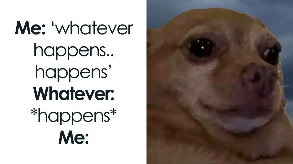 Relatable anxiety meme showing a dog with a nervous expression reacting to unexpected situations happening.