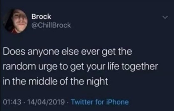 Tweet about the random urge to get life together at night with relatable memes about anxiety coping shared on social media.