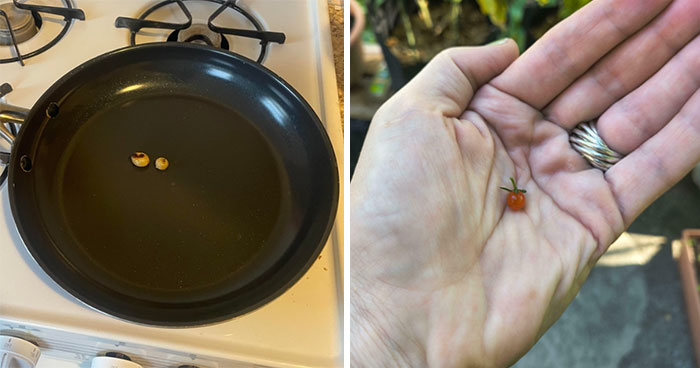 “The Carrot To Rule Them All”: 50 Gardening Fails That Were Too Funny Not To Share (New Pics)