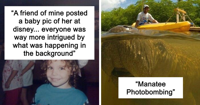 43 Priceless Photobombs That Will Never Stop Being Funny