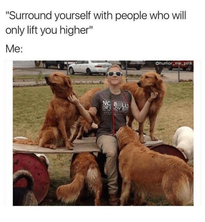 Person sitting with multiple golden retriever dogs around, showcasing wholesome animal memes to brighten your day.