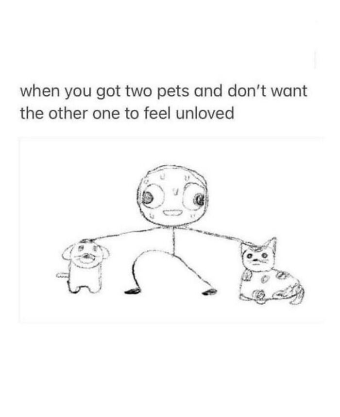 Sketch of a person stretching arms to hold a dog and cat, showing wholesome animal meme about loving two pets equally.