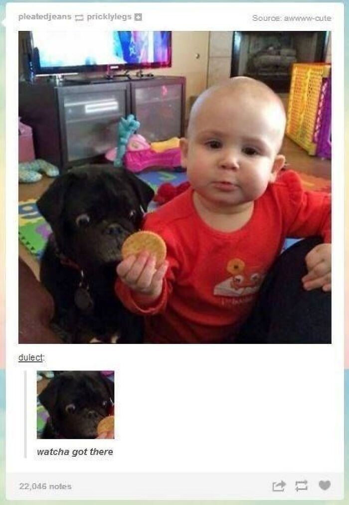 Baby in red shirt holding a cookie with a black dog staring at it in a cozy home setting wholesome animal memes