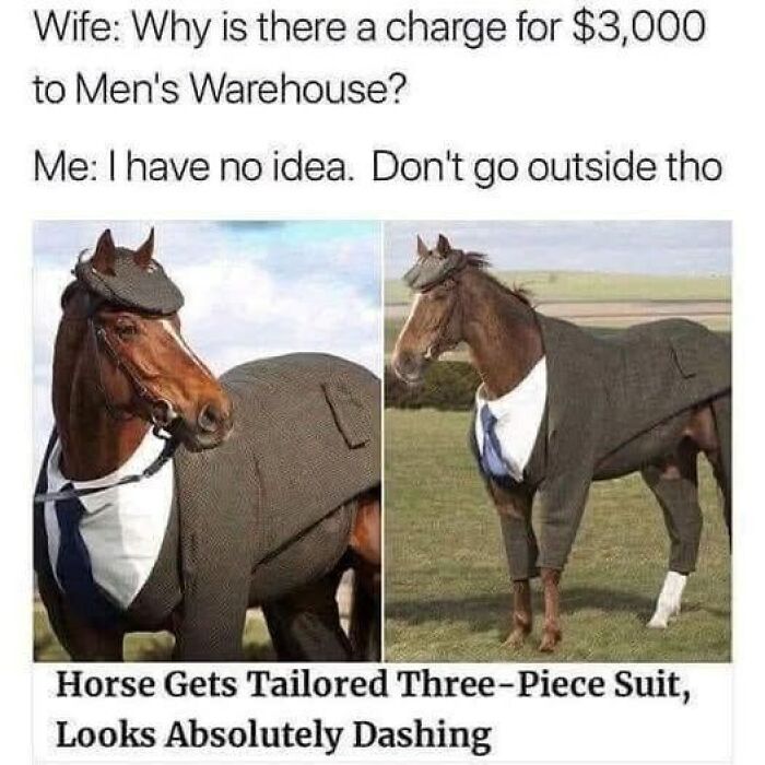Horse wearing a tailored three-piece suit and hat, featured in wholesome animal memes to brighten your day.