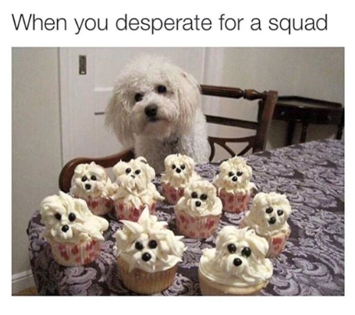A dog sitting at a table with cupcakes decorated to look like small dogs in wholesome animal memes.