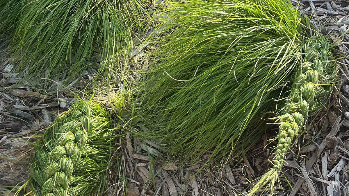 Braided grass on wood chips outdoors, showing a moderately interesting natural craft shared by people.