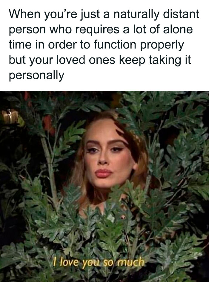 Woman partially hidden behind leaves, caption about needing alone time relatable to memes about relationships.