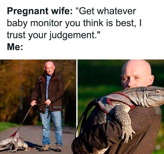 Man walking and carrying a large lizard on a leash, a relatable meme about relationships and baby monitor choices.