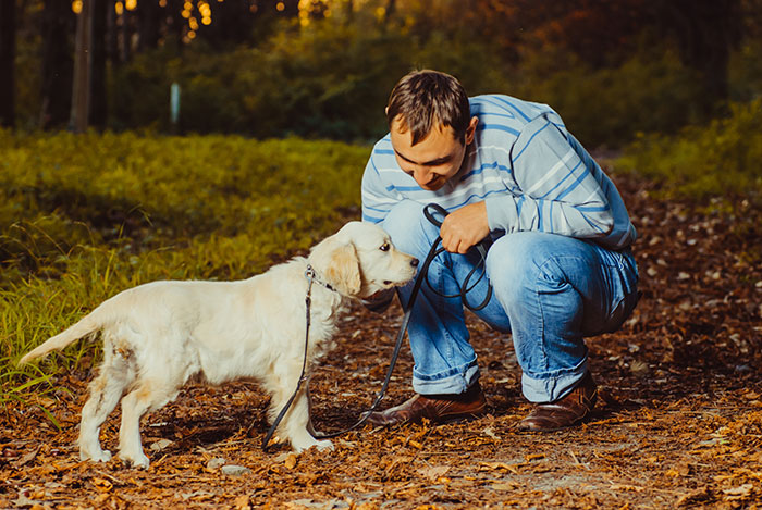 Man upset holding leash, expressing frustration with unwanted puppy responsibility during a walk in the forest. Man upset holding leash, expressing frustration with unwanted puppy responsibility during a walk in the forest.