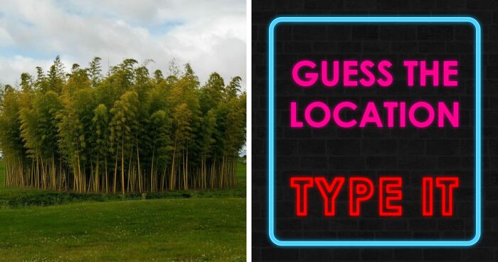 “What If We Replaced The Statue Of Liberty?”: Recognize The Locations Without Their Landmarks