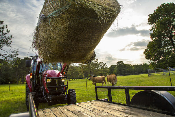 guide-to-hay-baling-and-production.jpg
