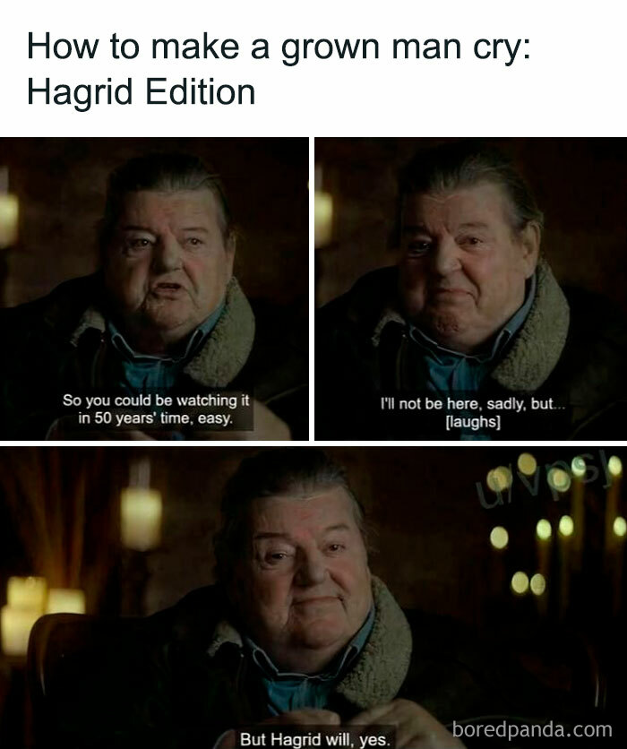 Man with emotional expression in Harry Potter meme about Hagrid making grown men cry, popular Harry Potter memes content.