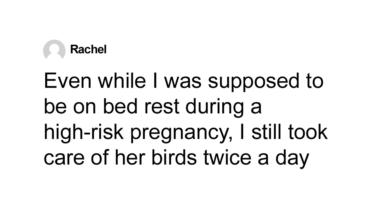 Comment from Rachel about caring for birds during high-risk pregnancy, reflecting anger after husbandu2019s passing and sister conflict.