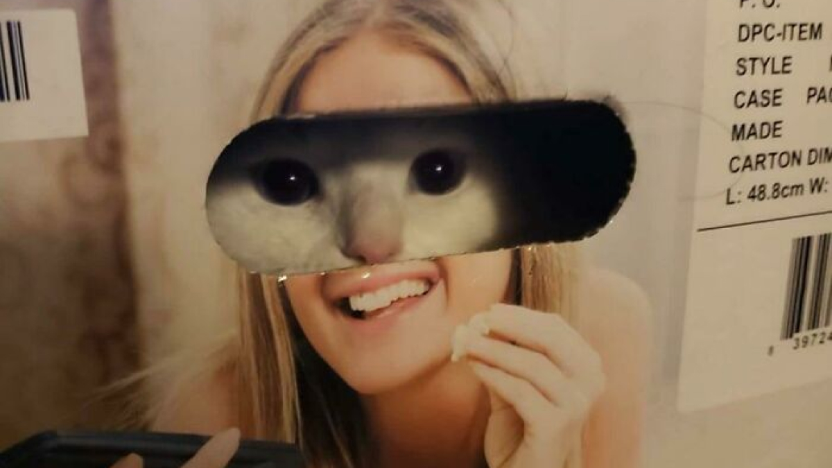 Cat's eyes showing through a hole in a box over a woman's smiling face, creating a hilarious instant meme effect.