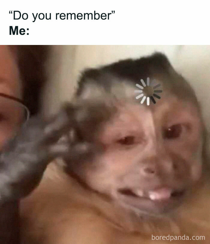 A monkey with a loading symbol on its face, humorously illustrating relatable memes about having too much work.