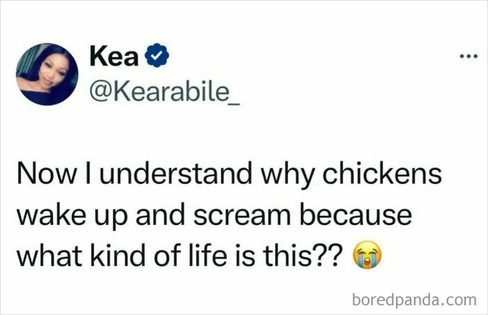 Relatable work memes featuring a tweet about waking up screaming like chickens and dealing with stressful life moments.