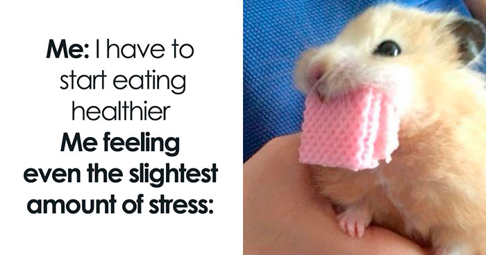 50 Funny Memes From ‘Sarcasm Daily’ That Might Help You Forget Your To-Do List (New Pics)