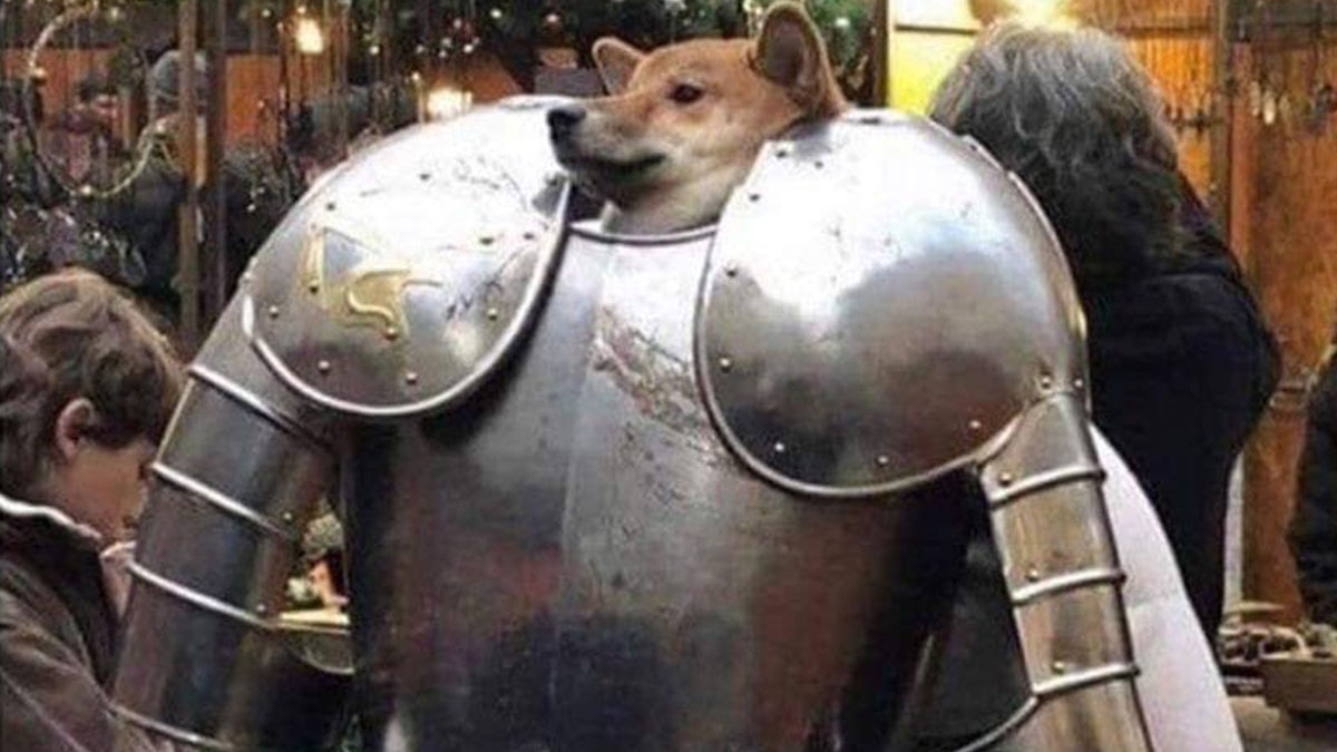 Dog owner funny and relatable meme showing a dogu2019s head on a human body wearing medieval armor in a market setting.