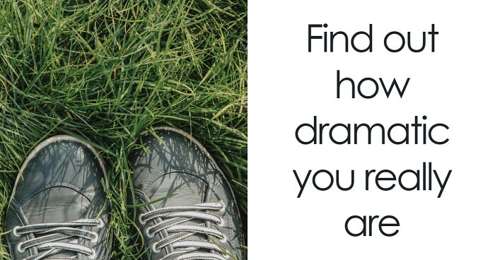 Face 26 Tricky Scenarios And Discover How Dramatic You Really Are Deep Down