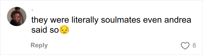 Comment on social media post with profile picture, text about soulmates, related to Taylor Swift lesbian relationship rumors with Karlie Kloss.