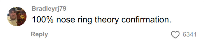 Screenshot of a social media comment stating 100% nose ring theory confirmation with over 6300 likes. Screenshot of a social media comment stating 100% nose ring theory confirmation with over 6300 likes.