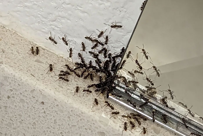 48 Stories Of People Who Self-Diagnosed Accurately And Surprised Even Their Doctors