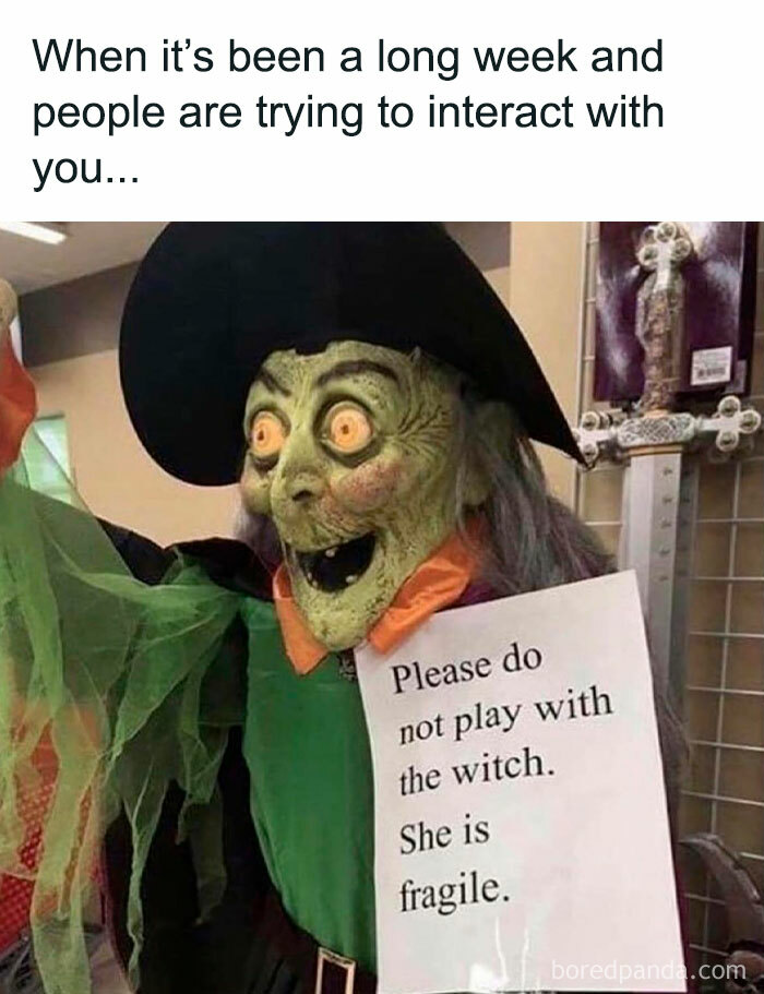 Green witch figure holding a sign about being fragile, illustrating introvert memes after socializing and decompressing.