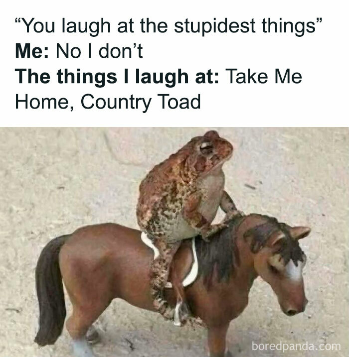 Funny introvert meme showing a toad riding a toy horse with text about laughing at quirky things after socializing.