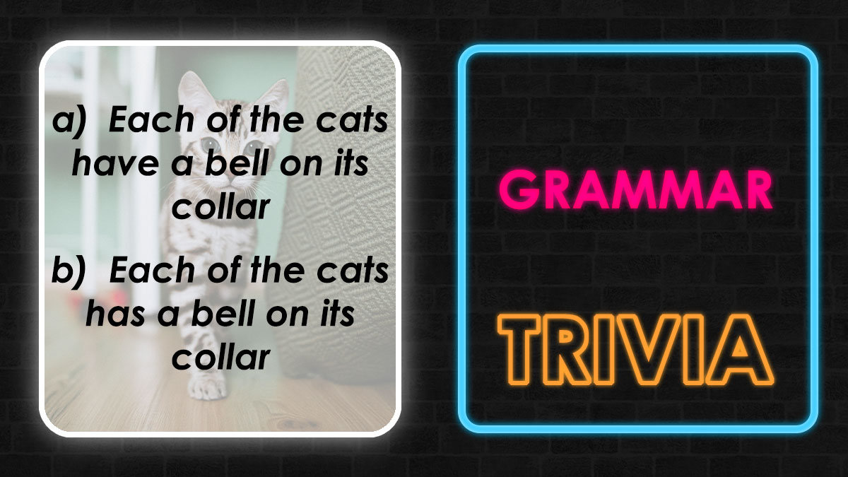 Grammar trivia quiz with a cat image showing sentences to spot spelling and grammar mistakes.