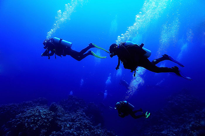 Two scuba divers underwater, one possibly an elite military diver, exploring the deep blue ocean with coral below. Two scuba divers underwater, one possibly an elite military diver, exploring the deep blue ocean with coral below.