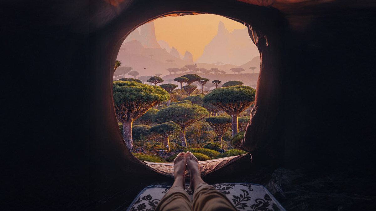 View from cave showing unique Socotra dragon blood trees at sunset with personu2019s bare feet in foreground