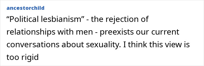 Comment section screenshot with a user discussing political lesbianism and rejection of relationships with men sparking debate. Comment section screenshot with a user discussing political lesbianism and rejection of relationships with men sparking debate.