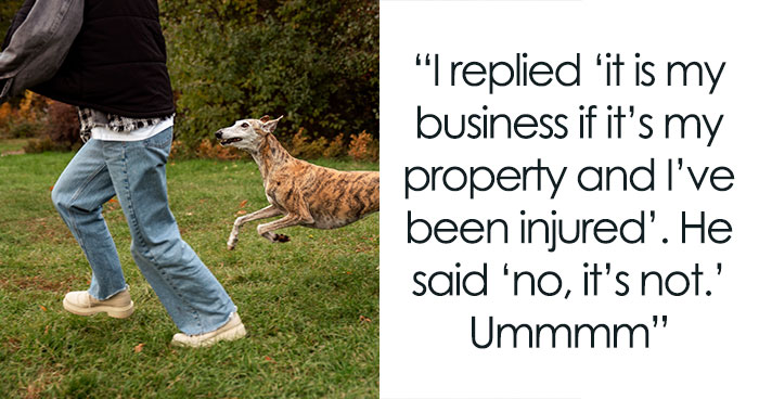 “I Can’t Enjoy My Own Property”: Person Feels Threatened By Neighbor’s Dog, He Doesn’t Care